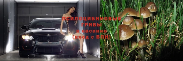 мяу мяу мука Алексин
