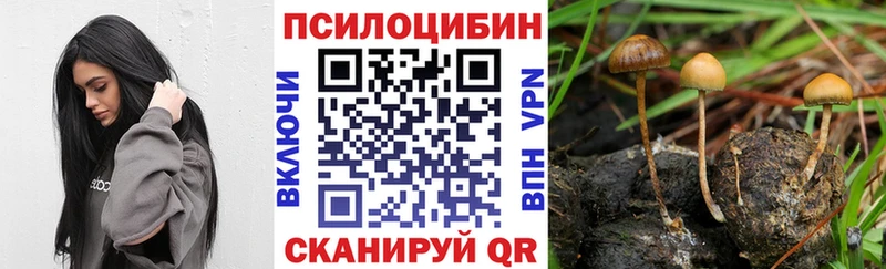 Галлюциногенные грибы ЛСД  Рыльск 